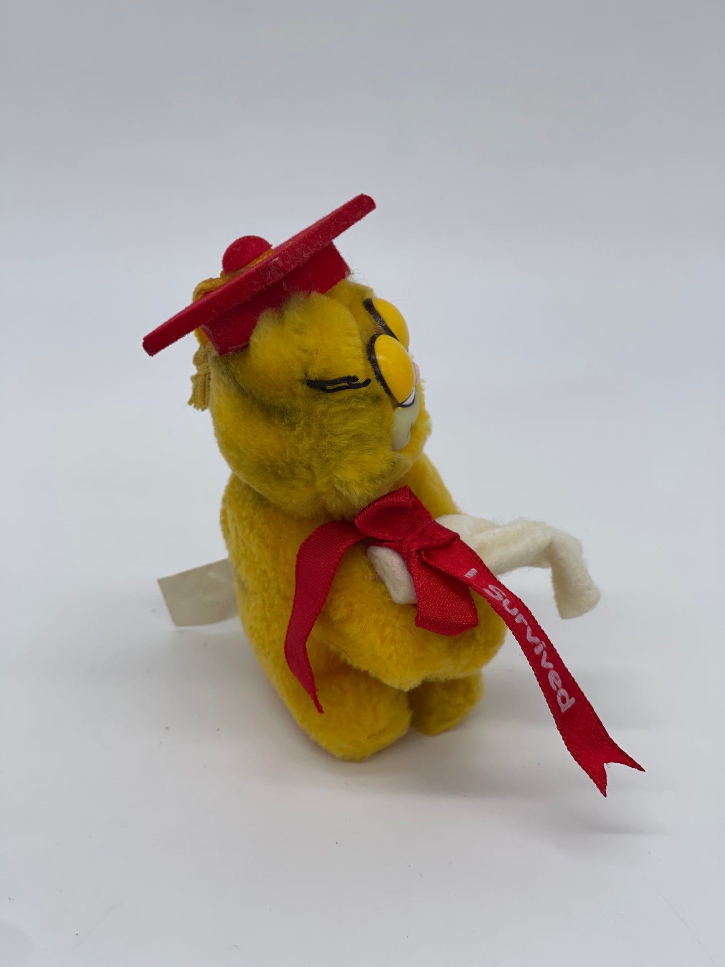 Garfield "I survived College Abschluss" Klammerfigur / Klammeraffe (1979)