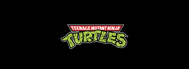 Teenage Mutant Ninja Hero Turtles TMNT