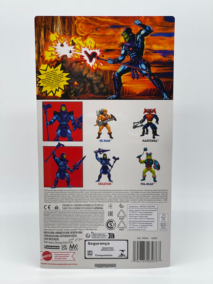 Masters of the Universe Origins "Skeletor 200x 40th Anniversary" unpunched MOTU